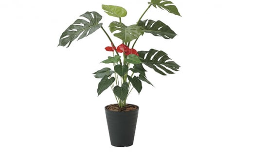 ̊y@XeAX[95yzsFkCEEz [5786-4501]Éls56000ߗށEiEH|ȋ iEH|i