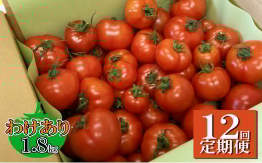 y12ցz@\\Hi@Hapitoma nsg}@킯i1.8kgjyzsFz [5786-4725]Éls130000؁Êg}g