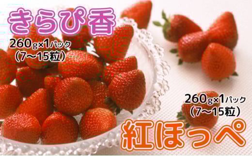 y2026N1{菇z Hה Zbg iҍ E gق   260g×e1pbNj v 2pbNyzsFz ʕ t[c W[V[ _Ȃ ViÉl