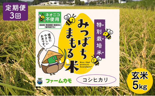 2025年10月上旬以降発送開始【定期便3回】雄踏ファームカモ産 玄米「特選みつばちまもる米」5kg コシヒカリ(3ヶ月連続・合計15kg) お米 ブランド米 ご飯 おにぎり お弁当 産地直送 1等米  [