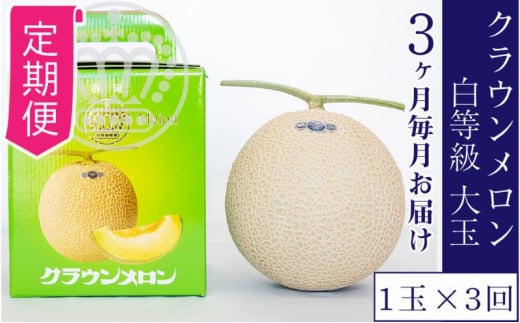 y3ցzNEyz1.4kgO@1ʓ [5786-5541]Éls65000ʕEt[cEXCJ