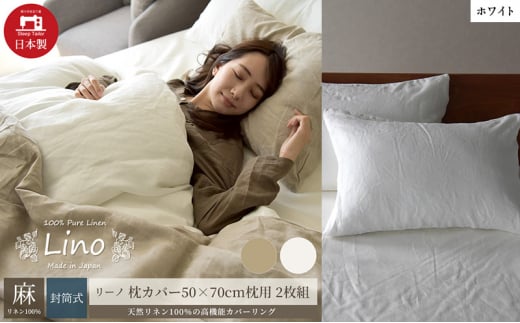 100% l Jo[2g 50×70cmp zCg u[mv [5786-5612]Éls22000G݁EpiQE^I