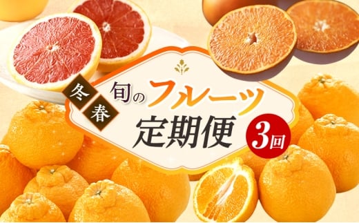 y2026N2{蔭zls̊k 3i2`4jƂEsm΁EO[vt[c [5786-5958]Éls35000ʕEt[c݂Ek