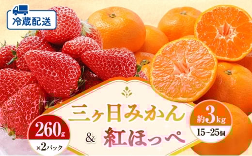 【2026年1月中旬より順次発送】 フルーツセット 紅ほっぺ 2パック 三ヶ日みかん 3kg セット 詰め合わせ 青島みかん みかん 蜜柑 いちご 苺 果物 旬のフルーツ 静岡 静岡県 浜松市 【配送不可: