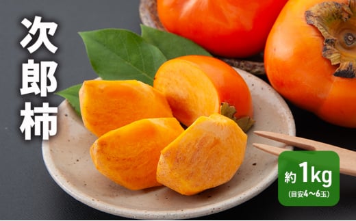 s\ Y` 1kg 4`6 É ls y2025N11{菇z ʕ  t[c `  [5786-5763]Éls7000ʕEt[c̑ ʕEt[c