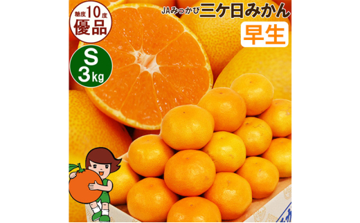 OP݂ yDizSTCY3kg(36O) ~J ʕ  t[c Â É ls [5360-0093]Éls16000ʕEt[c݂Ek