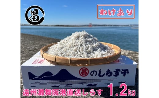 킯 炷 B啑` 炷 1.2kg Ⓚ VX A yzs:z ls[5360-0462]Éls16000ECY̑ ECY