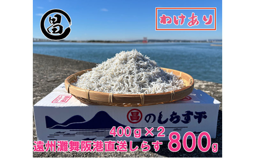 킯 炷 B啑` 炷 800gi400g×2܁j Ⓚ VX A yzsFz ls[5360-0478]Éls12000ECY̑ ECY