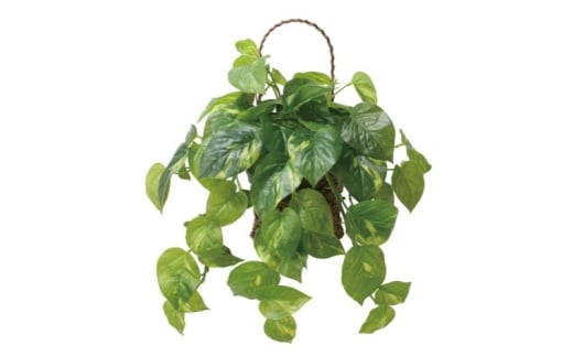 ̊y Ǌ|tbV|gXyzsFkCEEz CeA G} lHA  tFCNO[  t[  L ls [5360-0688]Éls26000ߗށE