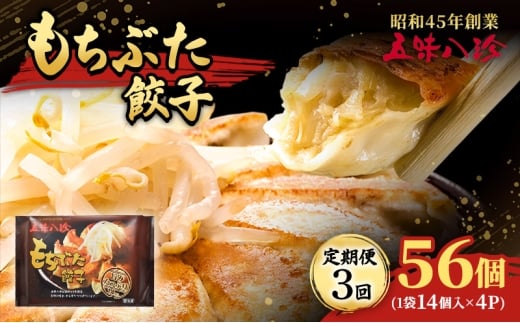 【定期便3回】 もちぶた餃子56個(1袋14個入×4パック) 五味八珍 餃子 ぎょうざ ギョウザ 国産 ブランド豚 もち豚 浜松餃子 冷凍餃子 冷凍 さっぱり 甘み 惣菜 中華 点心 静岡県 浜松市 [5360