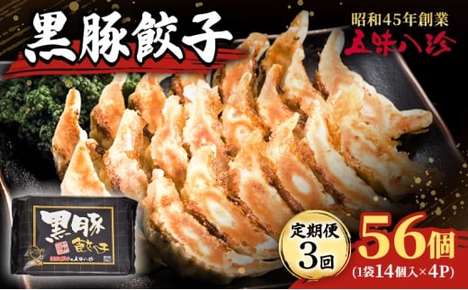 【定期便3回】 黒豚餃子56個(1袋14個入×4パック) 五味八珍 餃子 ぎょうざ ギョウザ 黒豚 ジューシー 柔らかい 肉の旨み ニンニク 浜松餃子 冷凍餃子 冷凍 惣菜 中華 点心 静岡県 浜松市 [5