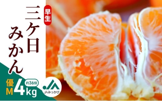 OP݂ DM 4kg i36j݂ ~J t[c ʕ  @\\Hi ls [5360-0845]Éls12000ʕEt[c݂Ek