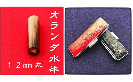 I_12mm(5)vP[X()È(񂽂) [5786-7830]1851Éls36000ߗށEiEH|ȋ iEH|i