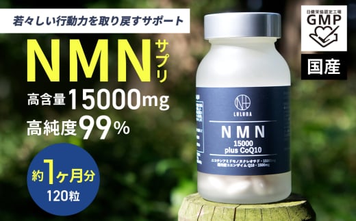0200-57-01 NMN15000 plus CoQ10 (15,000mgの高配合)静岡県富士宮市200000鍋セット・総菜・加工食品その他 鍋セット・総菜・加工食品