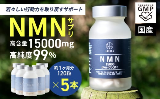1000-57-01 NMN15000 plus CoQ10 (15,000mgの高配合) ×5箱静岡県富士宮市1000000鍋セット・総菜・加工食品その他 鍋セット・総菜・加工食品