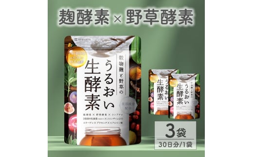 0011-101-02 酵素サプリメント 穀物麹と野草のうるおい生酵素 3袋 (3ヶ月)静岡県富士宮市11000鍋セット・総菜・加工食品その他 鍋セット・総菜・加工食品
