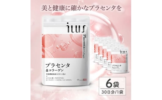 0024-101-02 ILUS プラセンタ&コラーゲン 6袋 (6ヶ月)静岡県富士宮市24000鍋セット・総菜・加工食品その他 鍋セット・総菜・加工食品