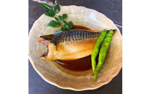 <毎月定期便>さば味噌煮 詰め合わせ全6回【4007841】静岡県伊東市60000魚介・海産物その他 魚介・海産物