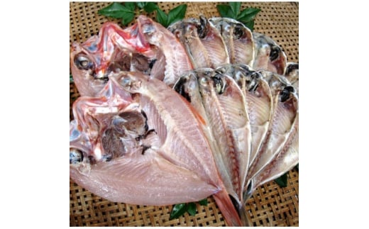 VЂ̋ly1125488zÉɓs12000ECY