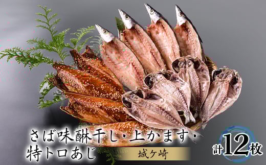 12枚入干物セット<城ヶ崎>特トロあじ・さばの味醂干し・上かます 各4枚伊豆・伊東の干物詰め合わせ【1607069】静岡県伊東市20000魚介・海産物鮮魚