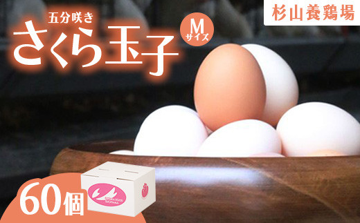 純国産鶏さくらちゃんが産んだ桜色のさくら玉子の五分咲き60個◇静岡県御殿場市10000卵・乳製品卵(鶏、烏骨鶏等)