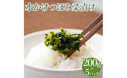 水かけつぼみ菜漬け 5パックセット【惣菜 漬物】静岡県御殿場市11000鍋セット・総菜・加工食品漬物・梅干・キムチ