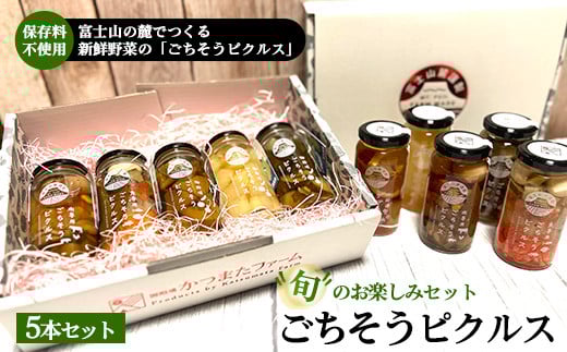 《旬のお楽しみセット》ごちそうピクルス 5本セット | ピクルス ぴくるす セット 詰め合わせ 健康 ヘルシー 料理 食材 漬物静岡県御殿場市15000鍋セット・総菜・加工食品その他 鍋セット・