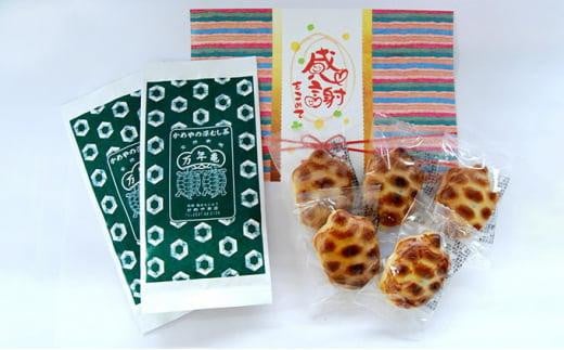 静岡深むし茶とミニ亀まんじゅう5ヶセット静岡県御前崎市9000お茶・飲料お茶