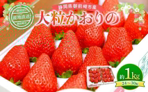 sty2026N2{ȍ~\zúv嗱@Zbg 1kg@_ƒI@ʌÉOs10000ʕEt[c