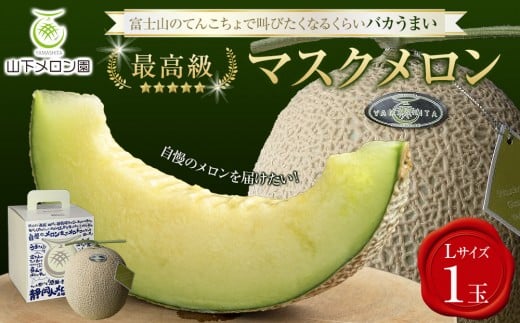 y揤izÉl × R̍ō̃}XN 1 k1.6kg`1.7kg  ÉuoJ܂vũ͂IIv@ʎXɎdقǂ̎