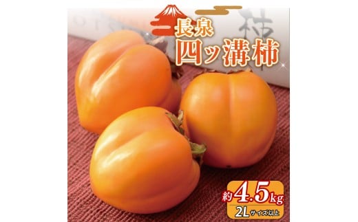 【先行予約】四ッ溝柿  約4.5kg 数量限定 2025年発送 柿 かき カキ 渋抜き フルーツ 令和7年産  果物 スイーツ 予約受付  11月上旬から順次発送 冷蔵 お歳暮 ギフト 贈答用 プレゼント 取り寄せ