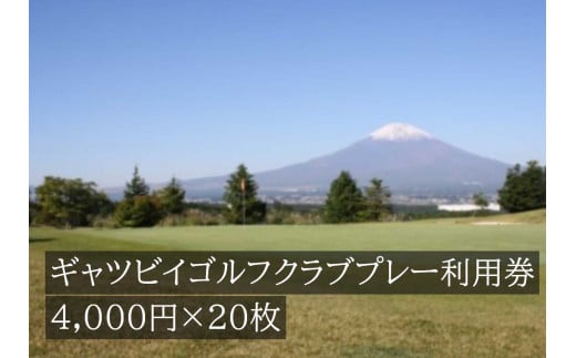 Y1ギャツビイゴルフクラブプレー割引券 20枚 【小山町内 ゴルフ場 共通利用券】静岡県小山町270000雑貨・日用品寝具・タオル