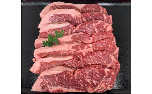 LiƂ͂j [XXe[L hhh[IƂPDSiQOO×VjmLs60000