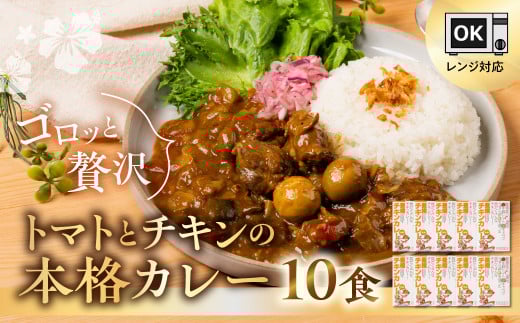 豊橋産の食材を詰め込んだ『豊橋チキンカレー』(10個セット)愛知県豊橋市20000鍋セット・総菜・加工食品総菜