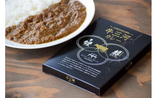 A.R.T. ホテルアークリッシュ豊橋『牛三河カレー(6個セット)』愛知県豊橋市13000肉牛肉