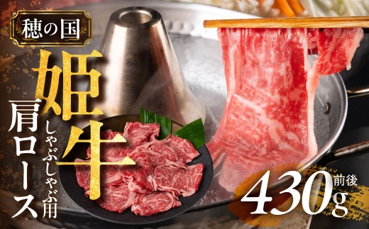 w̍PxL̎|[XԂԗpiSROOjmLs12000