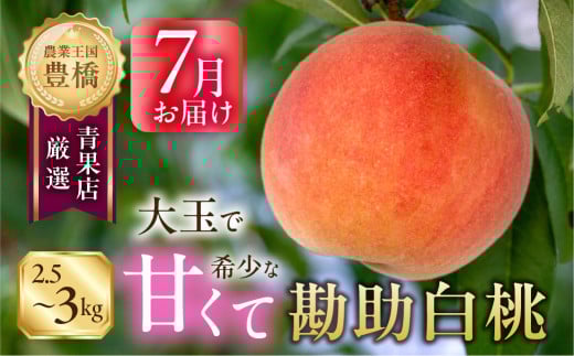 s\ 2026No׎͂킸QTԁI LYwΊ̊ 2.5`3kgi6`10ʁjx   t[c ʕ 󏭈mLs15000ʕEt[cE