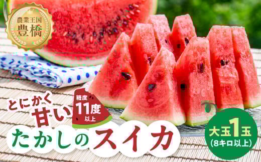 ≪先行予約 2026年発送≫ とにかく甘い! 豊橋産『たかしのスイカ』 1玉 糖度11〜13度 3L以上(8kg以上)6月 7月 くだもの フルーツ すいか  スイカ 夏 愛知県 豊橋市 14000円愛知県豊橋市14000果物