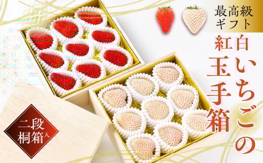 ≪先行予約≫最高級ギフト「紅白いちごの玉手箱」2段桐箱入(赤・白各約300g 計約600g)愛知県豊橋市40000果物・フルーツいちご