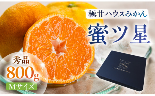 ≪先行予約≫ 濃厚ハウスみかん『蜜ツ星』秀品 800g(Mサイズ8玉) マルカワ園芸愛知県豊橋市10000果物・フルーツみかん・柑橘類