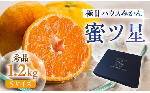 ≪先行予約≫ 濃厚ハウスみかん『蜜ツ星』秀品 1.2kg(Sサイズ15玉) マルカワ園芸愛知県豊橋市13000果物・フルーツみかん・柑橘類