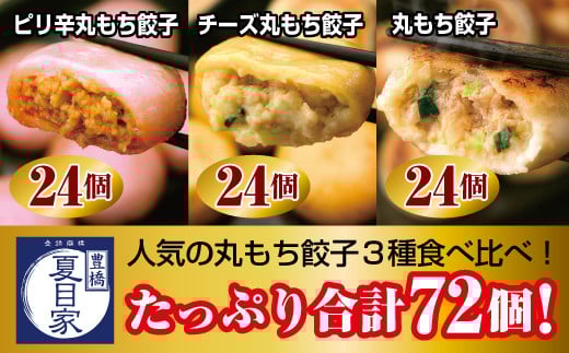 夏目家の『丸もち餃子3種食べくらべ(ピリ辛、チーズ、プレーン)』 (各24個×1袋 計3袋)愛知県豊橋市19000鍋セット・総菜・加工食品総菜