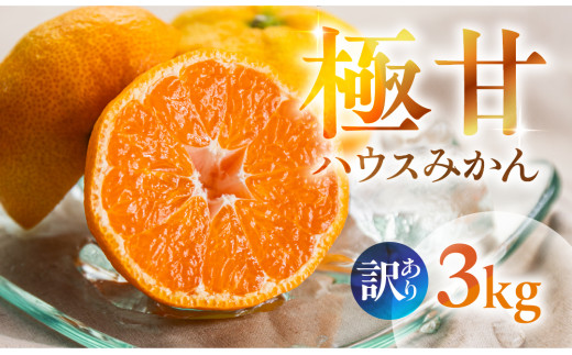 ≪先行予約≫ 超濃厚 ハウスみかん『蜜ツ星』 家庭用 3kg マルカワ園芸愛知県豊橋市17000果物・フルーツみかん・柑橘類