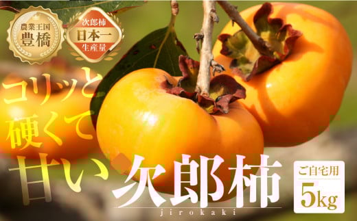 ≪先行予約≫次郎柿 5kg (15〜25玉) 訳あり 生産量日本一 豊橋石巻産 柿 不揃い 甘柿 果物 愛知県 豊橋市 2025年産愛知県豊橋市10000果物・フルーツその他 果物・フルーツ