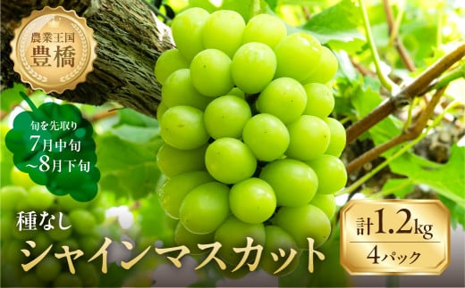 ≪先行予約 2026年発送≫ たっぷり1.2kg 豊橋産 皮ごと 種なし シャインマスカット300g×4 ブドウ ぶどう マスカット フルーツ 甘い 1.2キロ 果物 豊橋市 愛知県  旬 食べ比べ 高級 希少 贈答 贈