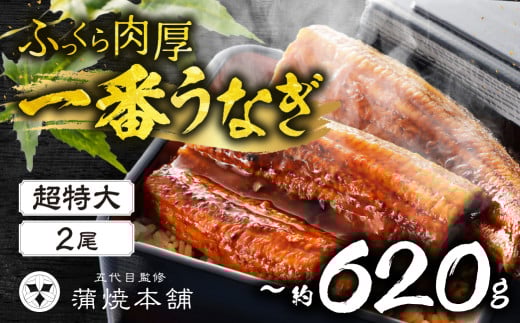 ふっくら肉厚!『一番うなぎ』 超特大 2尾 国産うなぎ蒲焼愛知県豊橋市29000魚介・海産物うなぎ