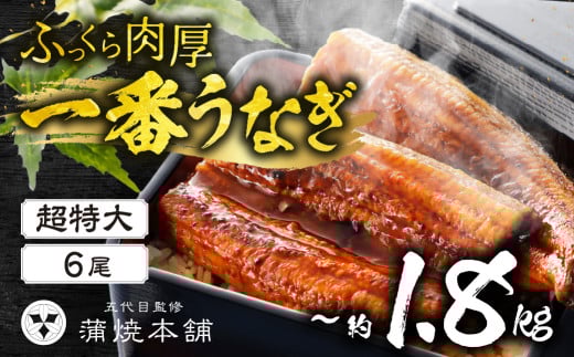 ふっくら肉厚!『一番うなぎ』 超特大 6尾 国産うなぎ蒲焼愛知県豊橋市81000魚介・海産物うなぎ