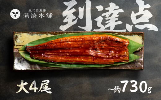 ふっくら肉厚!国産うなぎ 蒲焼 大 4尾 老舗 国産うなぎ セット 詰め合わせ 蒲焼 ウナギ うなぎ unagi 鰻 4尾愛知県豊橋市42000魚介・海産物うなぎ