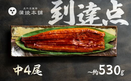 ふっくら肉厚!国産うなぎ 蒲焼 中 4尾 老舗 国産うなぎ セット 詰め合わせ 蒲焼 ウナギ うなぎ unagi 鰻愛知県豊橋市37000魚介・海産物うなぎ