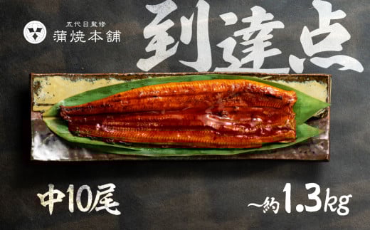 ふっくら肉厚!国産うなぎ 蒲焼 中 10尾 老舗 国産うなぎ セット 詰め合わせ 蒲焼 ウナギ うなぎ unagi 鰻愛知県豊橋市87000魚介・海産物うなぎ